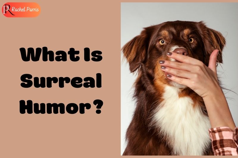 Exploring What Is Surreal Humor: Meaning, Origins, Feature. Unlocking the Laughs